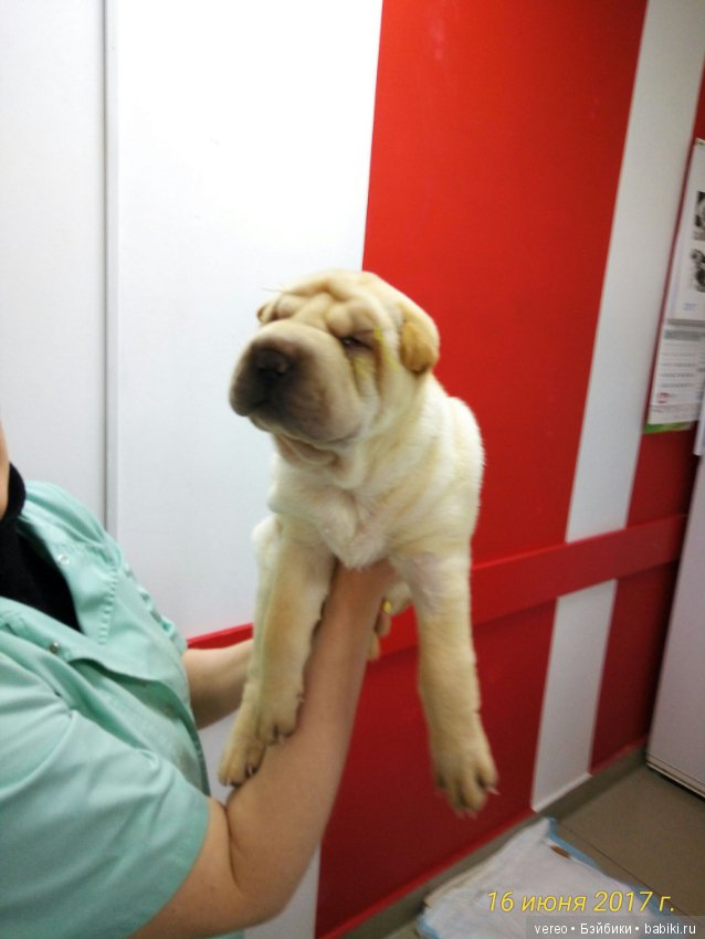 Живой уголок в зооцентре — В мире животных: смешные фото питомцев и зверей (фото 3)