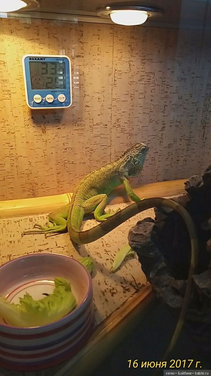 Живой уголок в зооцентре — В мире животных: смешные фото питомцев и зверей