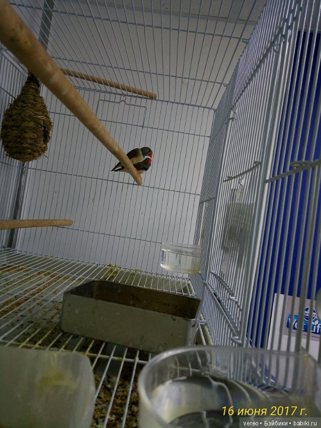 Живой уголок в зооцентре — В мире животных: смешные фото питомцев и зверей