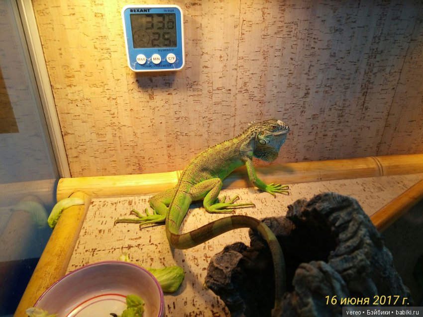 Живой уголок в зооцентре — В мире животных: смешные фото питомцев и зверей