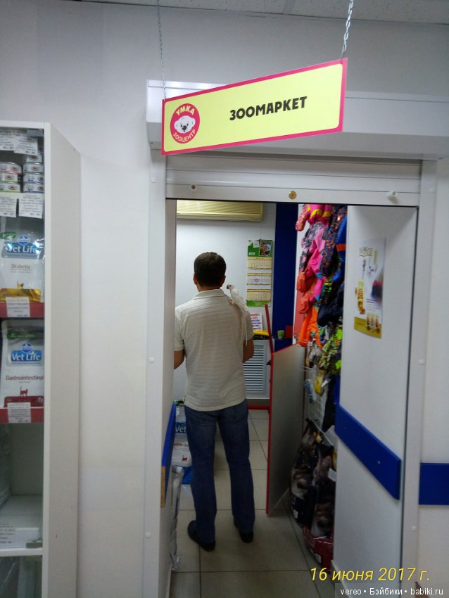 Живой уголок в зооцентре — В мире животных: смешные фото питомцев и зверей (фото 8)