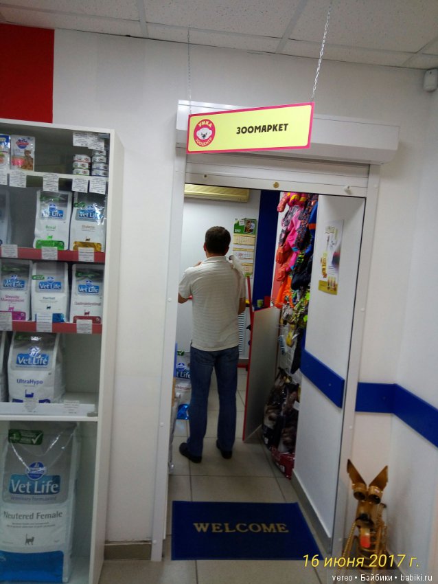 Живой уголок в зооцентре — В мире животных: смешные фото питомцев и зверей (фото 9)