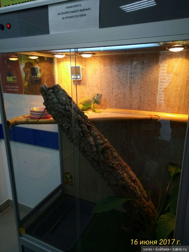 Живой уголок в зооцентре — В мире животных: смешные фото питомцев и зверей