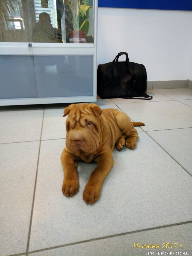 Живой уголок в зооцентре — В мире животных: смешные фото питомцев и зверей (фото 2)