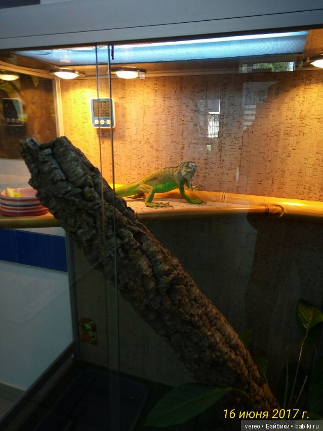 Живой уголок в зооцентре — В мире животных: смешные фото питомцев и зверей