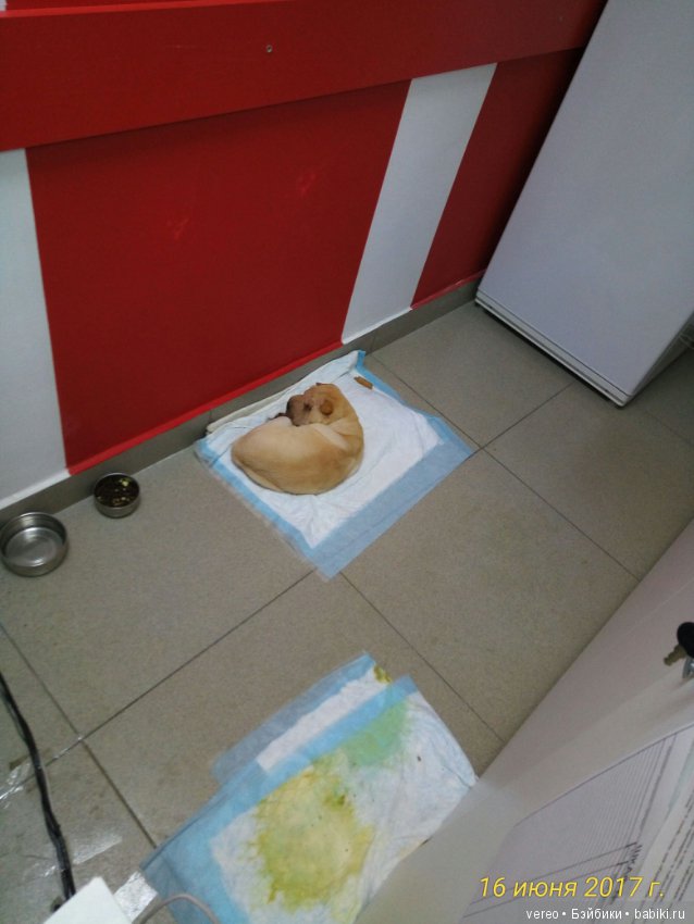 Живой уголок в зооцентре — В мире животных: смешные фото питомцев и зверей (фото 7)