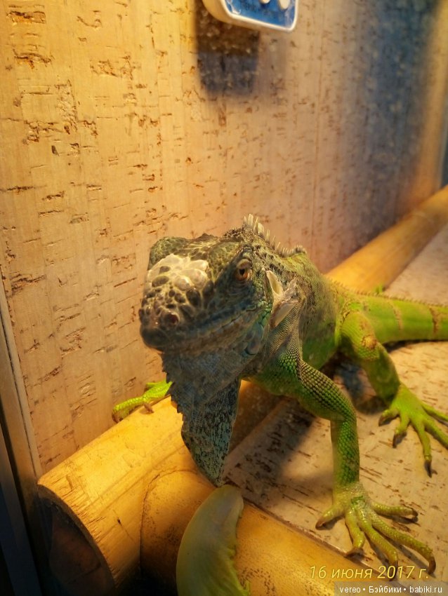 Живой уголок в зооцентре — В мире животных: смешные фото питомцев и зверей