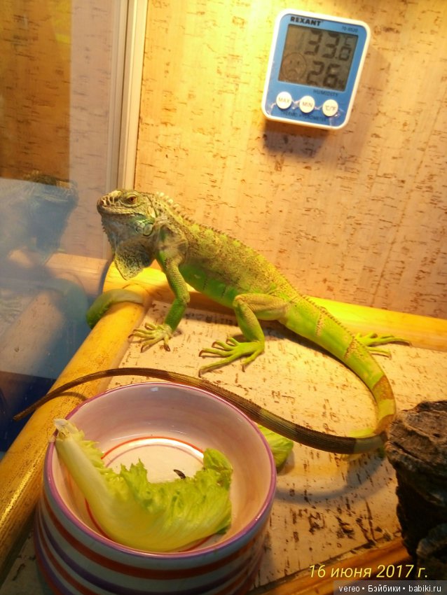 Живой уголок в зооцентре — В мире животных: смешные фото питомцев и зверей