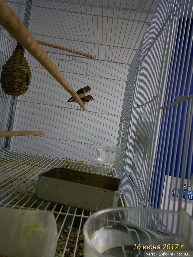 Живой уголок в зооцентре — В мире животных: смешные фото питомцев и зверей