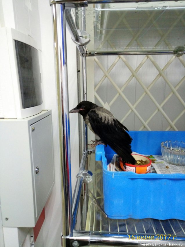 Живой уголок в зооцентре — В мире животных: смешные фото питомцев и зверей