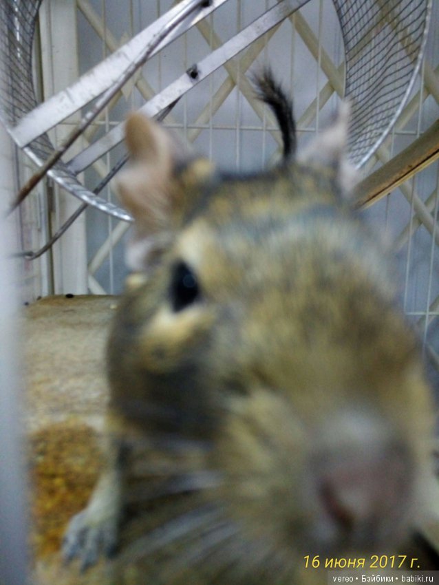 Живой уголок в зооцентре — В мире животных: смешные фото питомцев и зверей