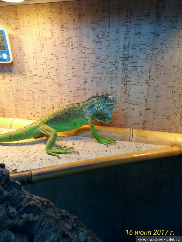 Живой уголок в зооцентре — В мире животных: смешные фото питомцев и зверей