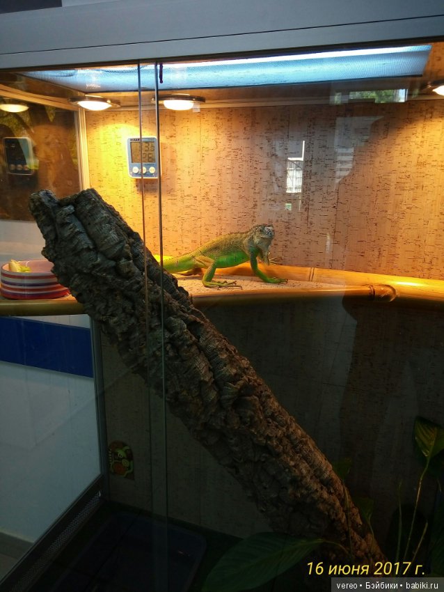 Живой уголок в зооцентре — В мире животных: смешные фото питомцев и зверей