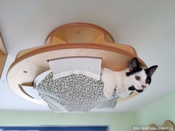 Игровые площадки для кошек