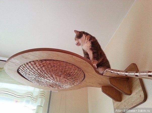 Игровые площадки для кошек (фото 5)