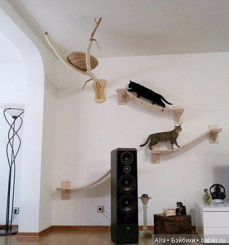 Игровые площадки для кошек (фото 7)