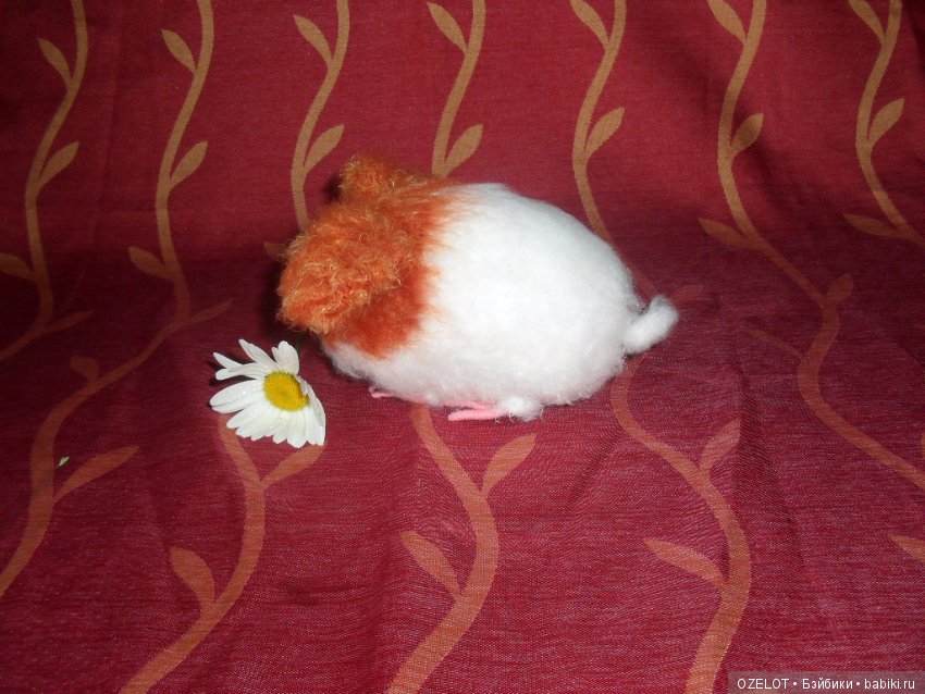 Шуша--моя авторская свинка (фото 5)