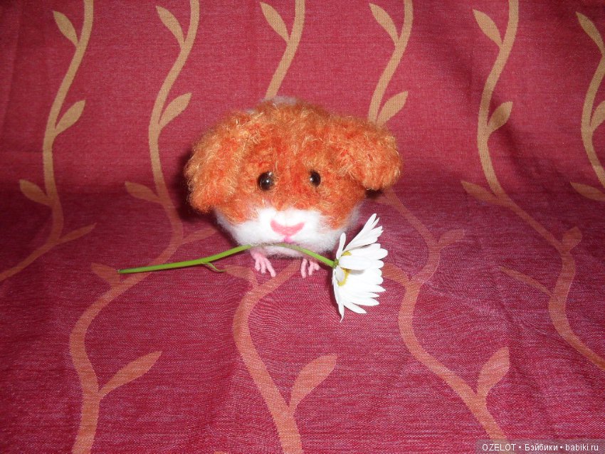 Шуша--моя авторская свинка (фото 7)