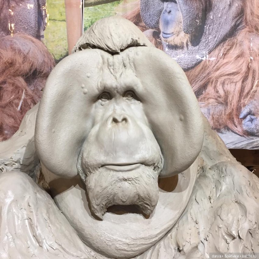 Скуптура Nick Bibby. Орангутан (фото 2)