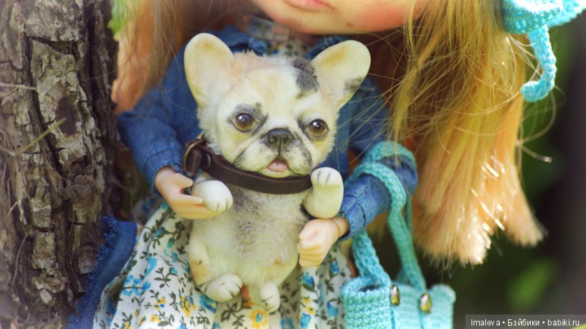 Булька и Алиса, авторский песик от Татьяны Бакановой (фото 6)