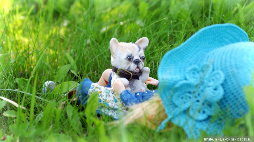 Булька и Алиса, авторский песик от Татьяны Бакановой (фото 3)