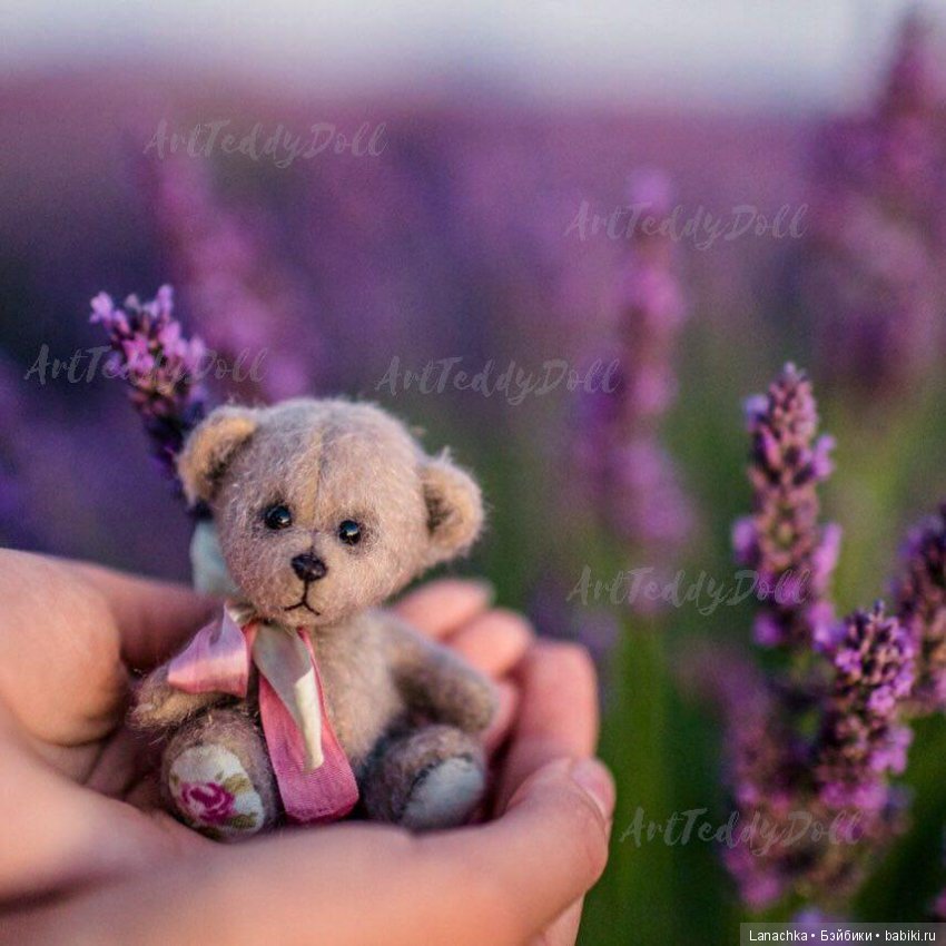 Когда цветет лаванда — Туризм и путешествия: фотоотчеты из поездок