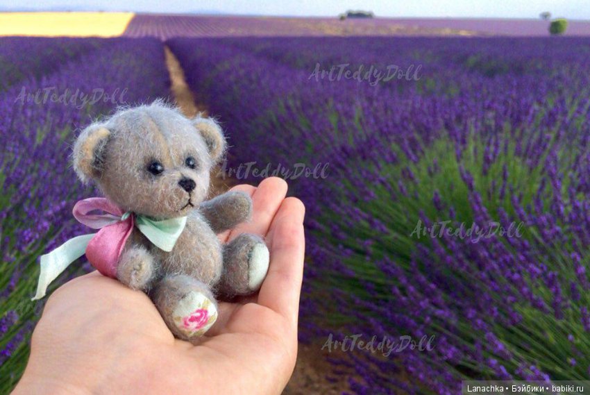 Когда цветет лаванда — Туризм и путешествия: фотоотчеты из поездок (фото 5)