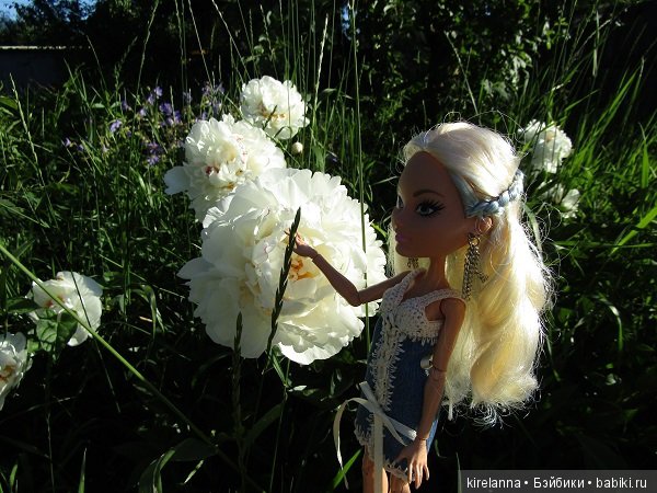 Утренняя фотоохота на монстров