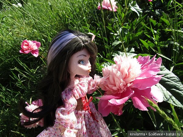 Утренняя фотоохота на монстров