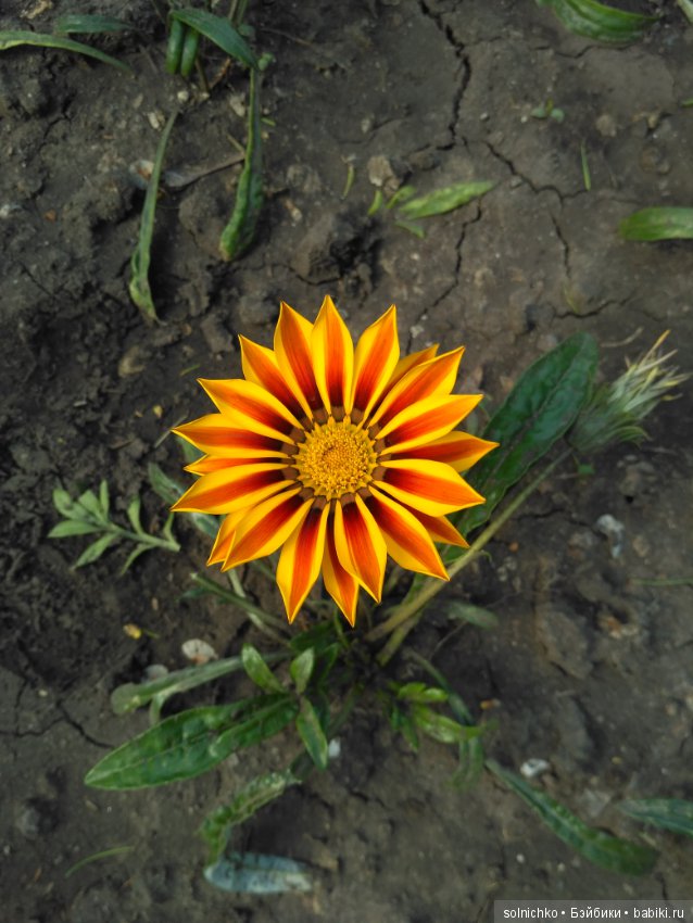 Помогите выбрать место для отдыха! Бонус от меня: Много и Разных фото кукол :-)