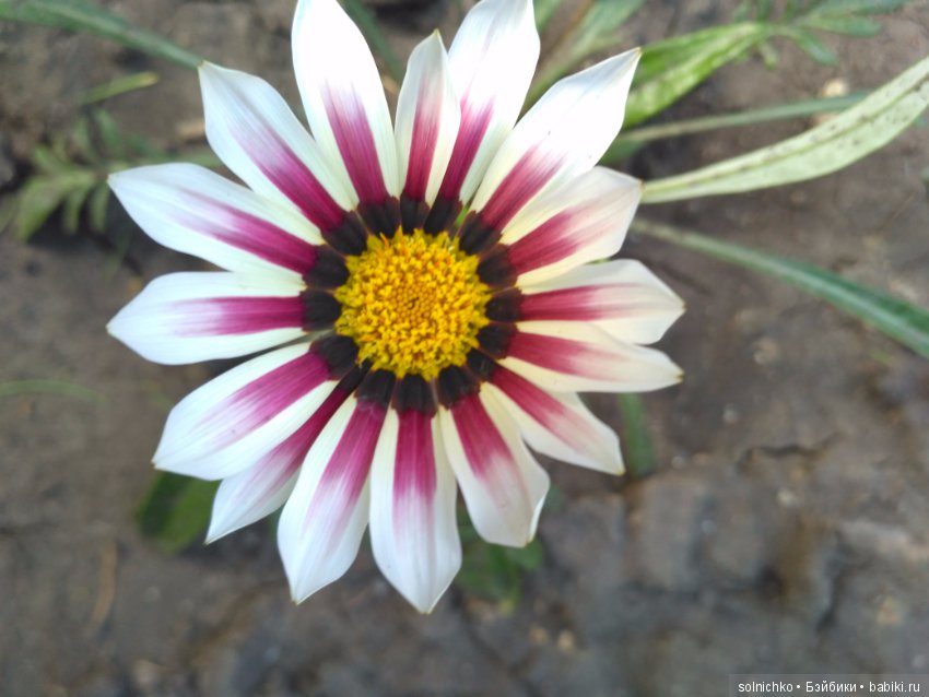 Помогите выбрать место для отдыха! Бонус от меня: Много и Разных фото кукол :-)