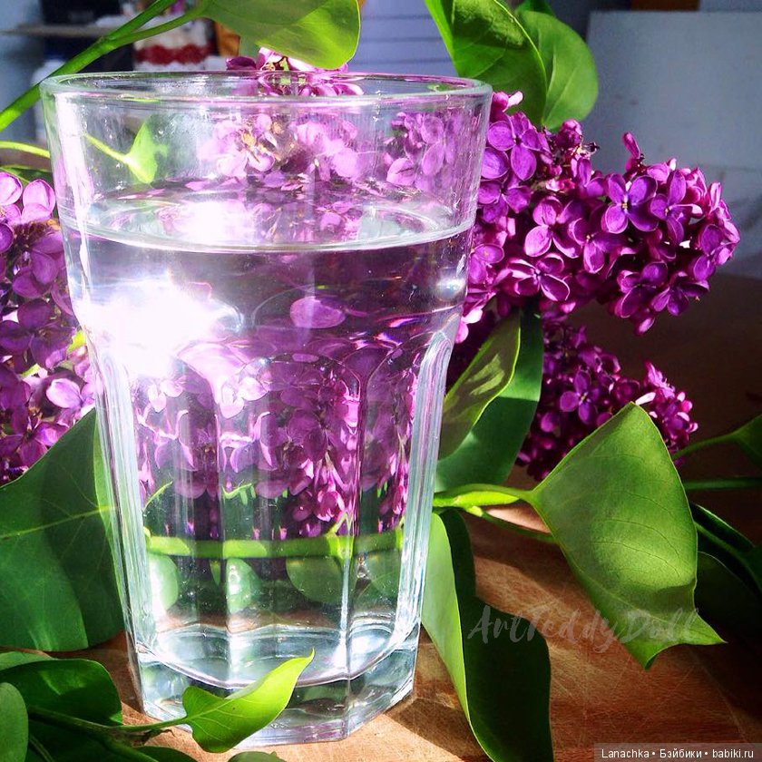 Поговорим про кофе — Болталка и разговоры обо всем: жизнь (фото 2)