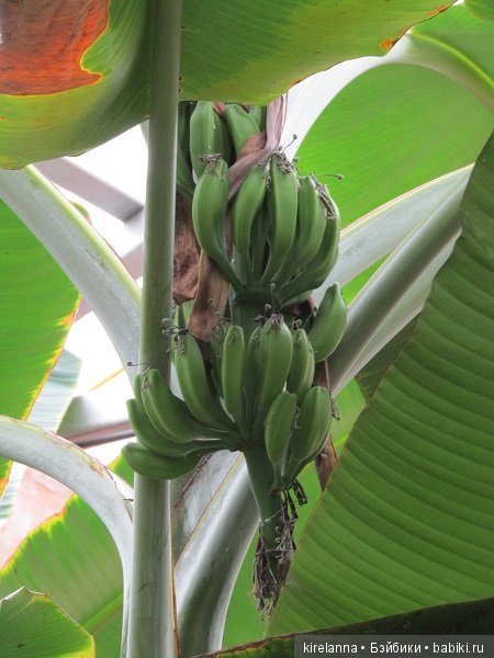 Где обедал воробей — В мире животных: смешные фото питомцев и зверей