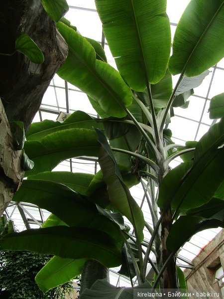 Где обедал воробей — В мире животных: смешные фото питомцев и зверей