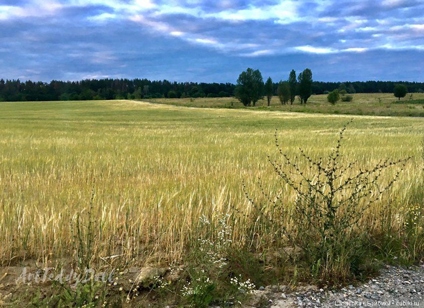 Кто рано встает, ... ?) — Болталка и разговоры обо всем: жизнь (фото 2)