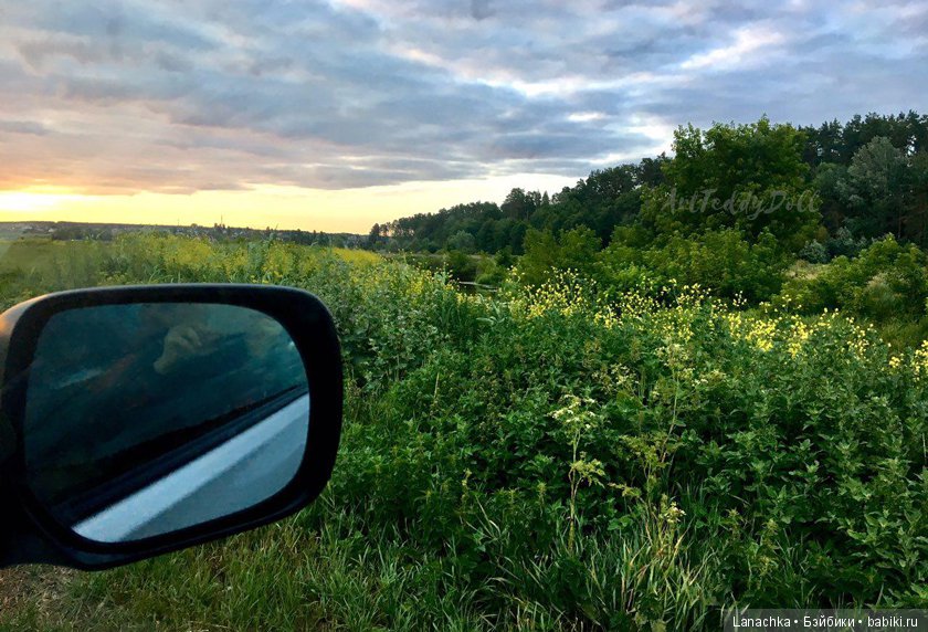 Кто рано встает, ... ?) — Болталка и разговоры обо всем: жизнь