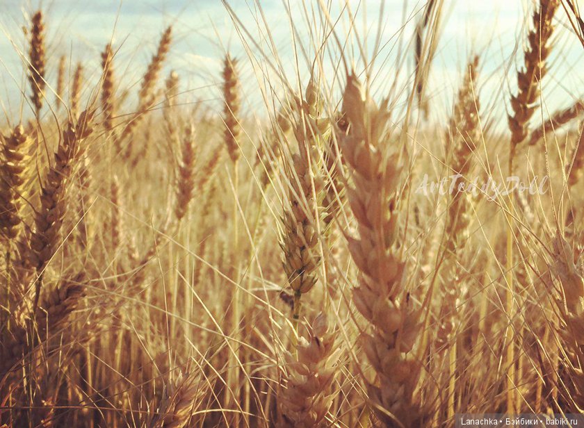 Кто рано встает, ... ?) — Болталка и разговоры обо всем: жизнь (фото 3)