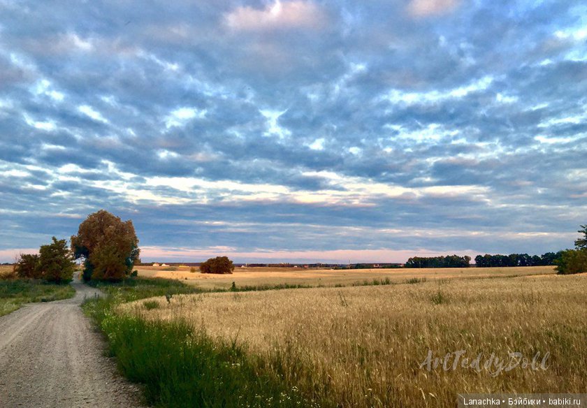 Кто рано встает, ... ?) — Болталка и разговоры обо всем: жизнь (фото 4)