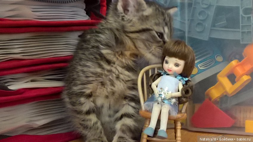 Малышка BJD Amelia Tonner (фото 7)