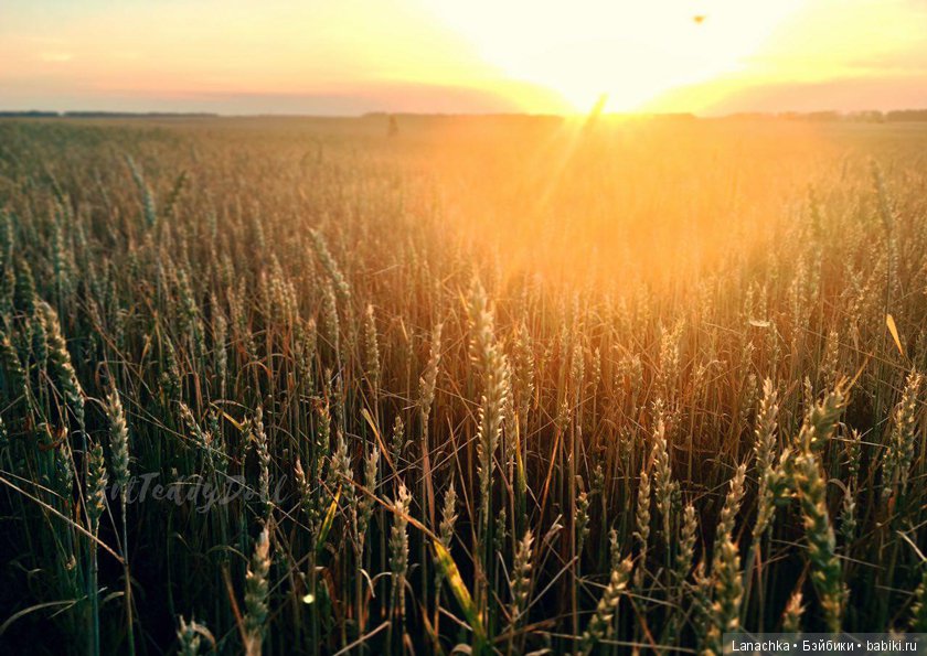 Кто рано встает, ... ?) — Болталка и разговоры обо всем: жизнь (фото 9)