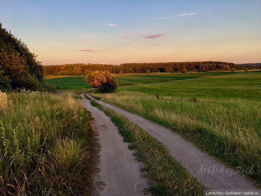 Кто рано встает, ... ?) — Болталка и разговоры обо всем: жизнь (фото 8)
