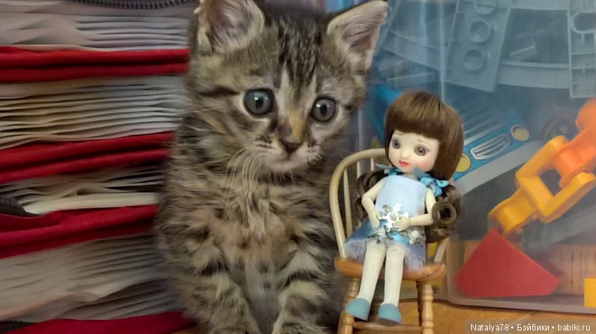 Малышка BJD Amelia Tonner (фото 8)