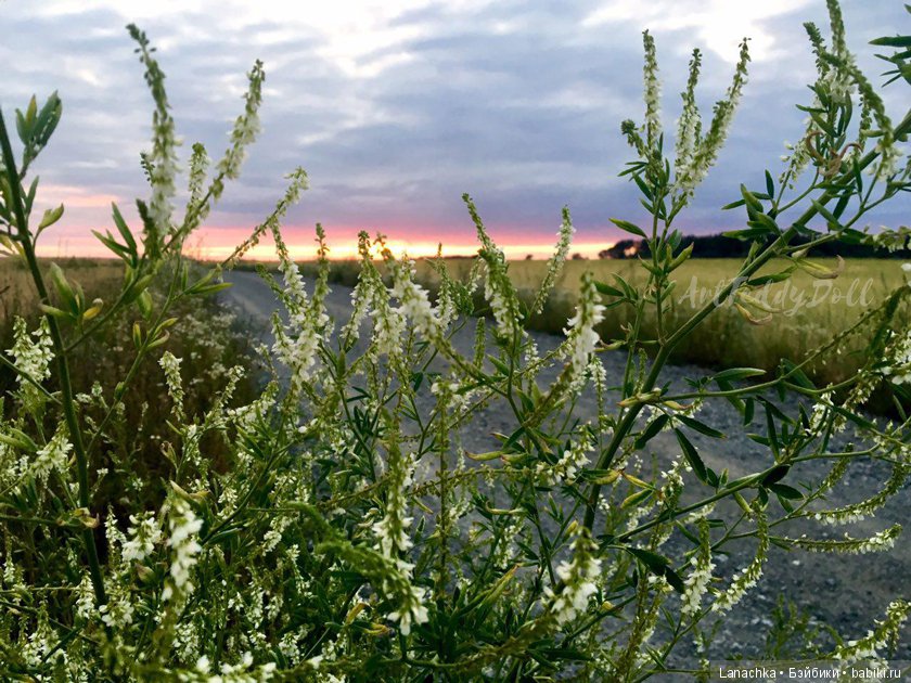 Кто рано встает, ... ?) — Болталка и разговоры обо всем: жизнь (фото 7)