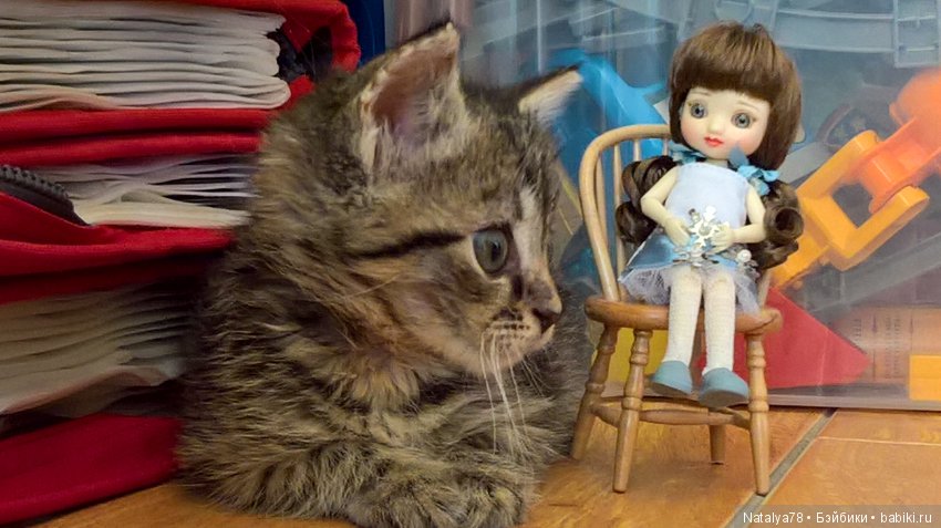 Малышка BJD Amelia Tonner (фото 9)