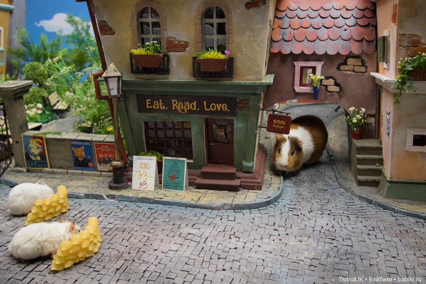 Город хомяков, масштабная миниатюра The Hungry Hungry Hamsters (фото 9)