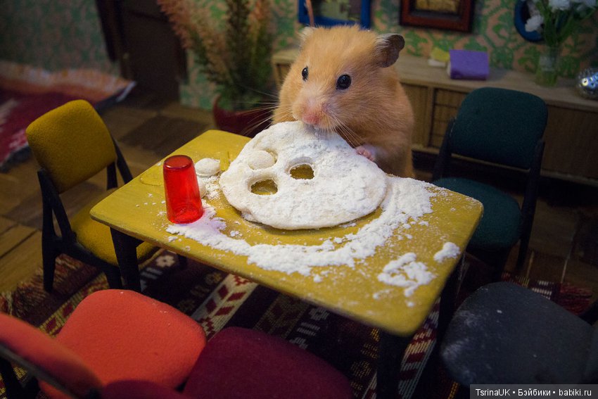 Город хомяков, масштабная миниатюра The Hungry Hungry Hamsters