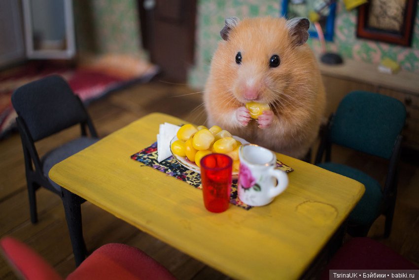 Город хомяков, масштабная миниатюра The Hungry Hungry Hamsters