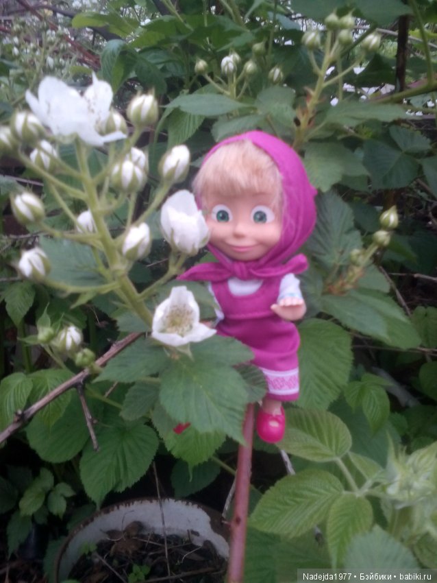 У Маши есть теперь Маша и не только (фото 7)