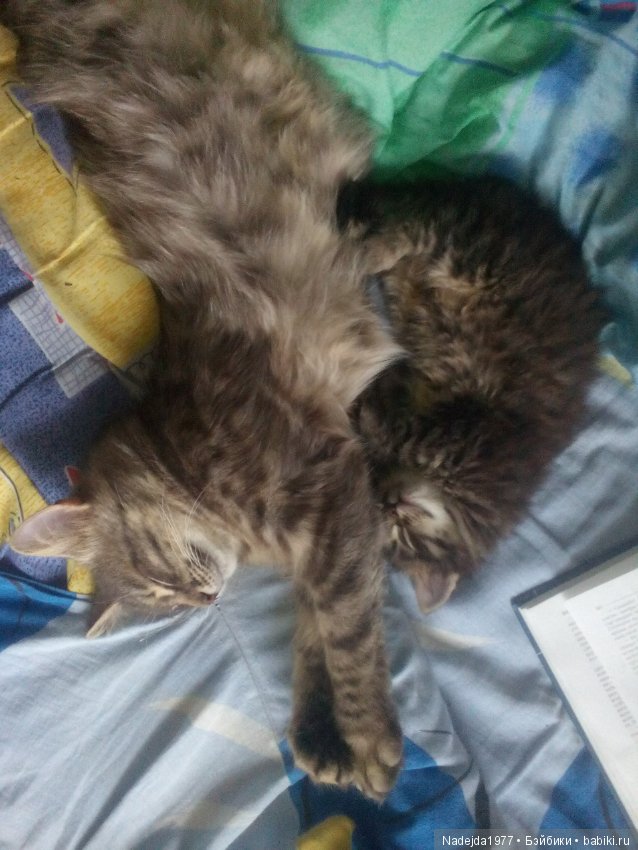 У Маши есть теперь Маша и не только