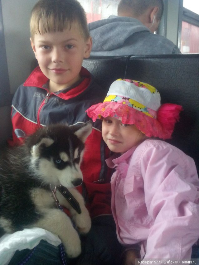 У Маши есть теперь Маша и не только